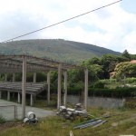 O Sorriso de Daniel alega contra el polémico pabellón de Melón