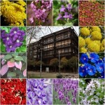 Un jardín vertical para el campus de Ourense