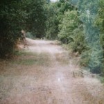 A Vía Nova ou Vía XVIII do Itinerario de Antonino, ¿Patrimonio da Humanidade?