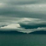 OPINIÓN. Una espantá desafortunada