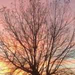 La riqueza impagable del conocimiento humanístico