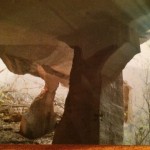 La catedral que vino por el Guadalquivir